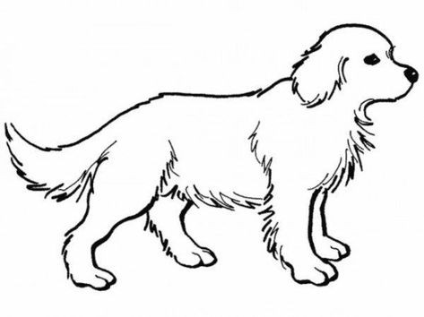 57 idées de dessins de chien pour apprendre à dessiner des chiens 36