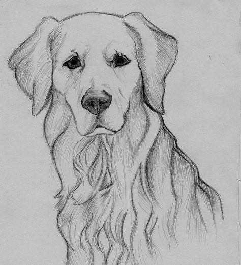 57 idées de dessins de chien pour apprendre à dessiner des chiens 37