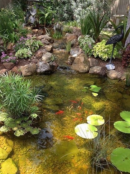 37 idées d'étangs de jardin avec des cascades 20