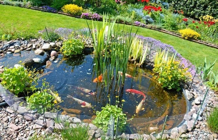 37 idées d'étangs de jardin avec des cascades 24