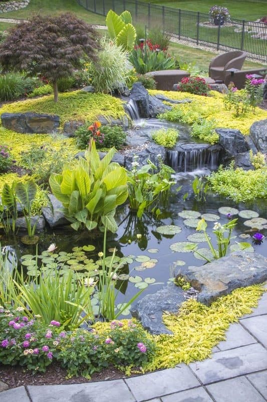 37 idées d'étangs de jardin avec des cascades 25