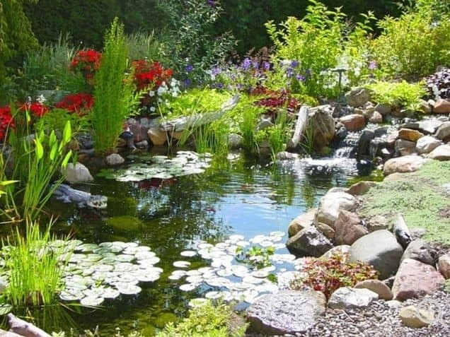 37 idées d'étangs de jardin avec des cascades 10
