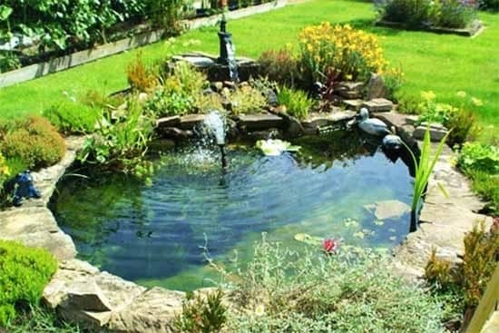 37 idées d'étangs de jardin avec des cascades 14