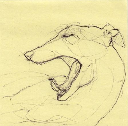 57 idées de dessins de chien pour apprendre à dessiner des chiens 41