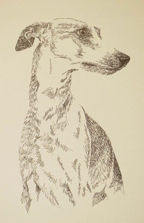 57 idées de dessins de chien pour apprendre à dessiner des chiens 42