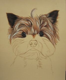 57 idées de dessins de chien pour apprendre à dessiner des chiens 44