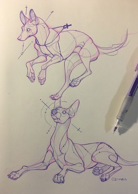 57 idées de dessins de chien pour apprendre à dessiner des chiens 48