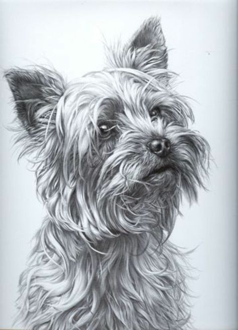 57 idées de dessins de chien pour apprendre à dessiner des chiens 54