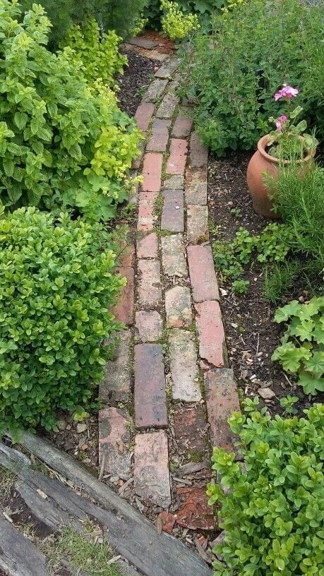 94 idées pour embellir une allée de jardin 16 94 idées pour embellir une allée de jardin 16