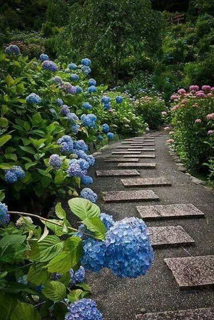 94 idées pour embellir une allée de jardin 61 94 idées pour embellir une allée de jardin 61