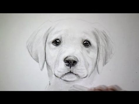 57 idées de dessins de chien pour apprendre à dessiner des chiens 10