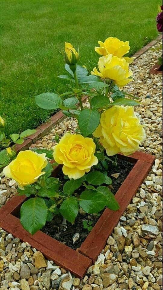 29 idées de déco pour aménager un petit jardin 10 29 idées de déco pour aménager un petit jardin 10