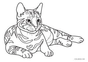 39 top idées de coloriages chat à imprimer 3 39 top idées de coloriages chat à imprimer 3