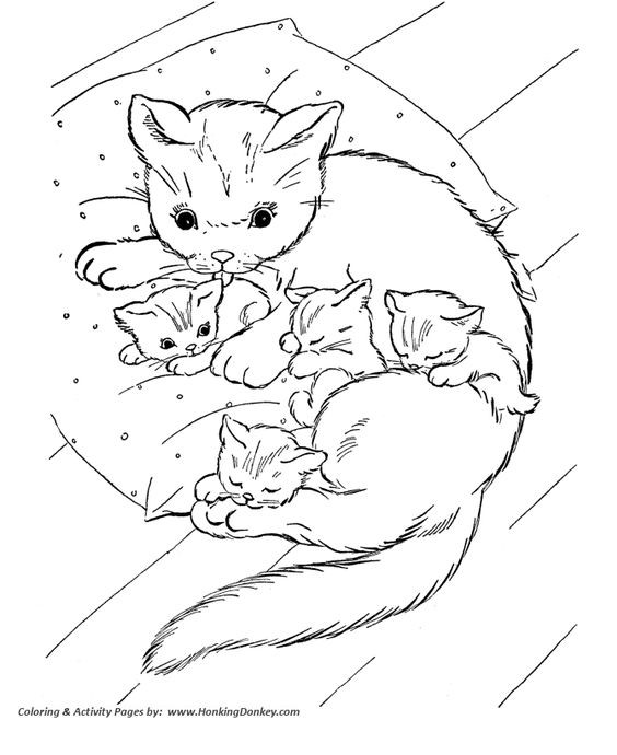 39 top idées de coloriages chat à imprimer 5 39 top idées de coloriages chat à imprimer 5
