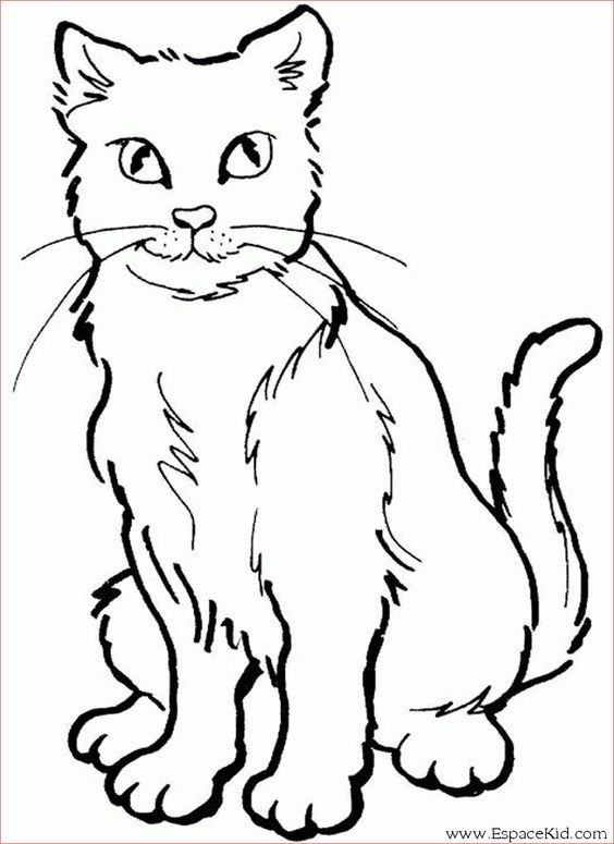 39 top idées de coloriages chat à imprimer 8 39 top idées de coloriages chat à imprimer 8
