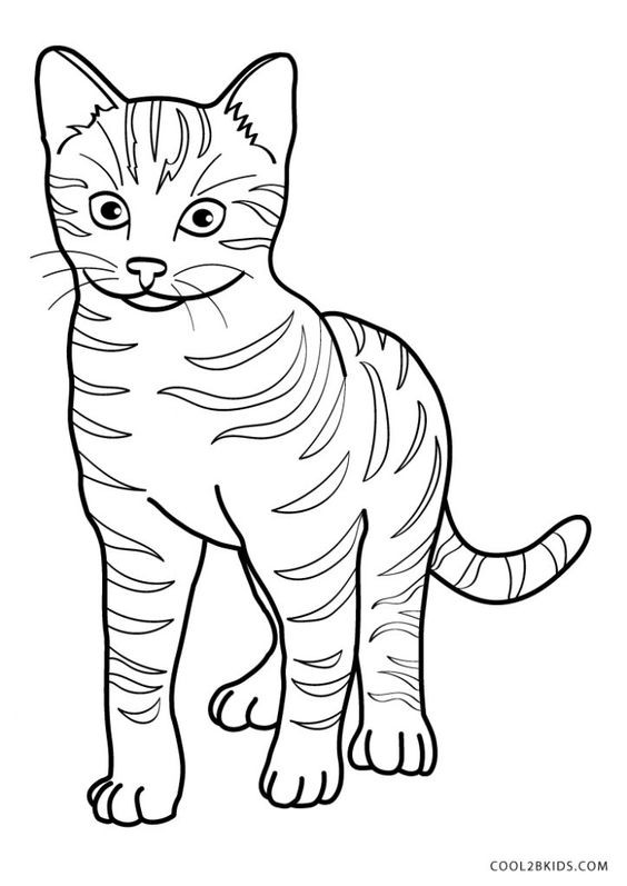 39 top idées de coloriages chat à imprimer 17 39 top idées de coloriages chat à imprimer 17