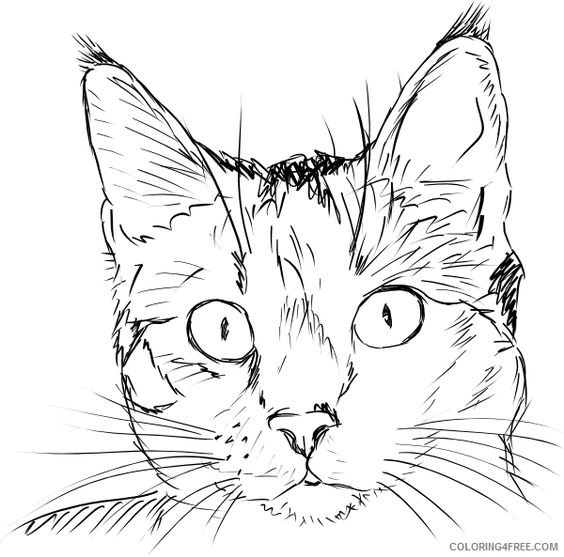 39 top idées de coloriages chat à imprimer 23 39 top idées de coloriages chat à imprimer 23