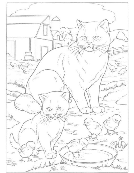 39 top idées de coloriages chat à imprimer 26 39 top idées de coloriages chat à imprimer 26