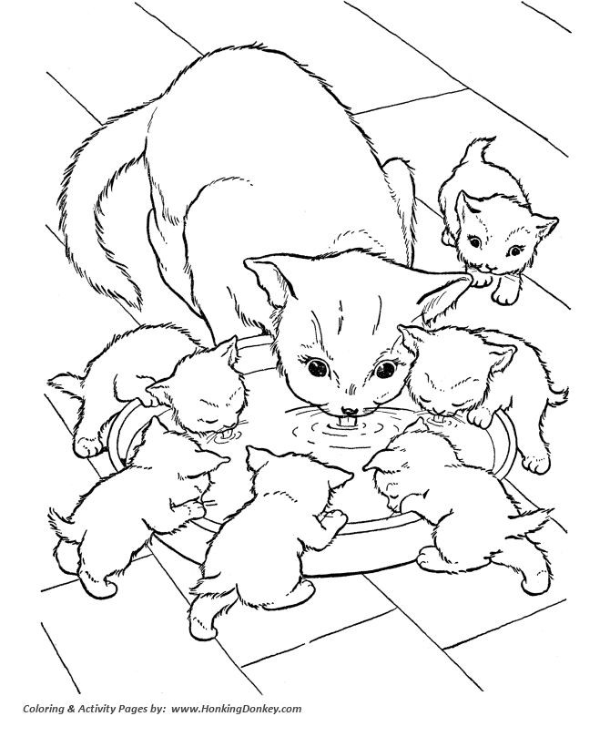 39 top idées de coloriages chat à imprimer 28 39 top idées de coloriages chat à imprimer 28