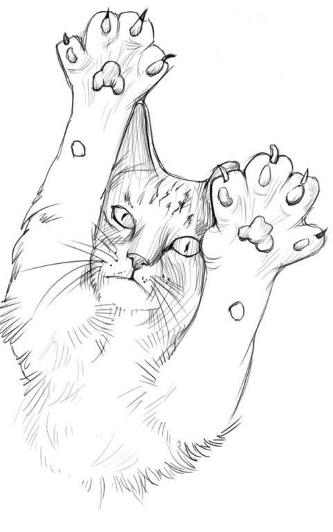 39 top idées de coloriages chat à imprimer 29 39 top idées de coloriages chat à imprimer 29