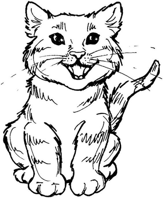 39 top idées de coloriages chat à imprimer 37 39 top idées de coloriages chat à imprimer 37