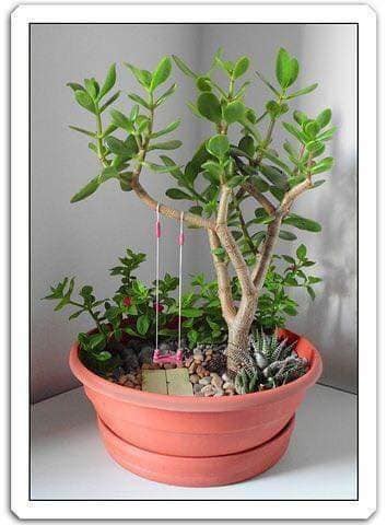 18 idées de décors à faire avec des pots cassés ou réutilisés 13