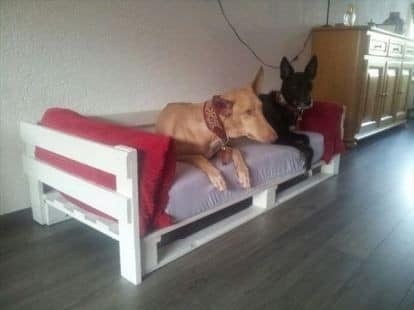 17 top idées de lits pour chien à fabriquer soi-même 15