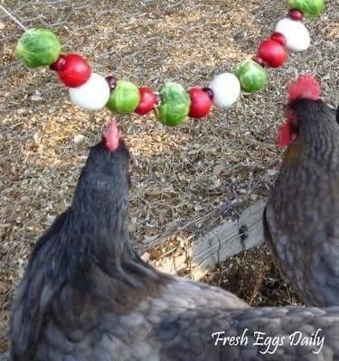 20 idées pour ceux qui aiment les Poussins 2 20 idées pour ceux qui aiment les Poussins 2
