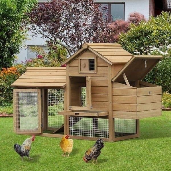 20 idées pour ceux qui aiment les Poussins 3 20 idées pour ceux qui aiment les Poussins 3
