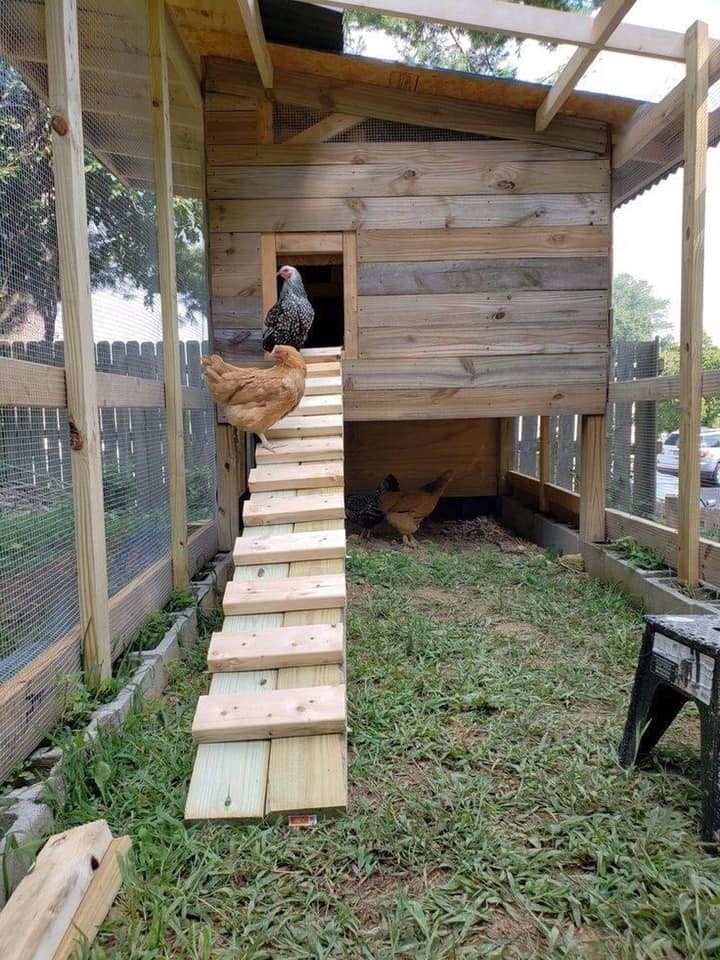 20 idées pour ceux qui aiment les Poussins 8 20 idées pour ceux qui aiment les Poussins 8
