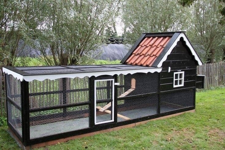 20 idées pour ceux qui aiment les Poussins 9 20 idées pour ceux qui aiment les Poussins 9
