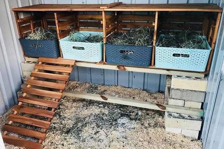 20 idées pour ceux qui aiment les Poussins 12 20 idées pour ceux qui aiment les Poussins 12