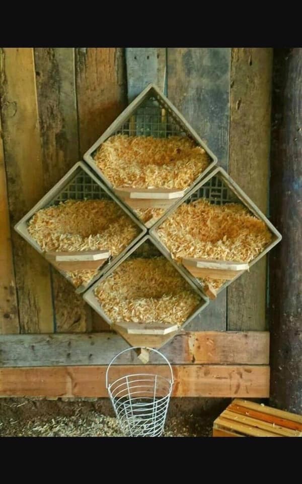 20 idées pour ceux qui aiment les Poussins 14 20 idées pour ceux qui aiment les Poussins 14