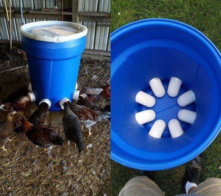 20 idées pour ceux qui aiment les Poussins 15 20 idées pour ceux qui aiment les Poussins 15