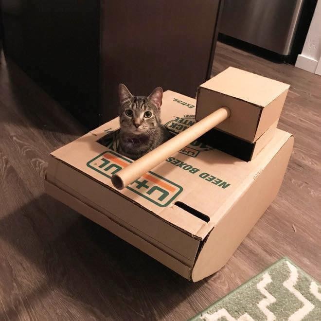 21 idées de maisons pour chat en forme de tanks 3