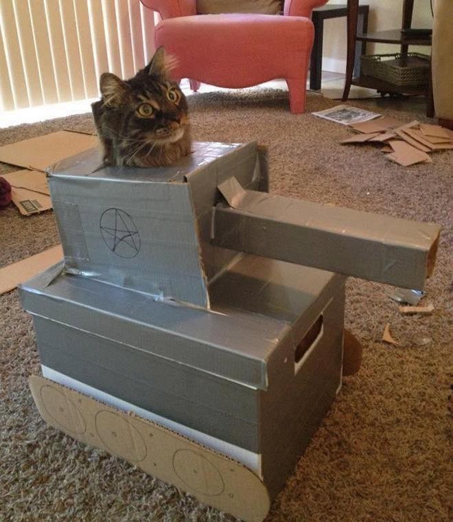 21 idées de maisons pour chat en forme de tanks 5