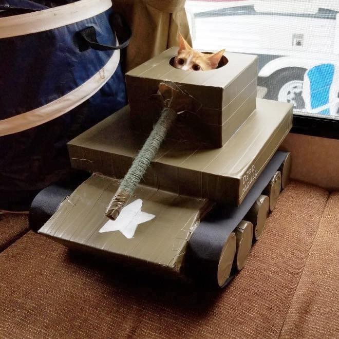 21 idées de maisons pour chat en forme de tanks 7