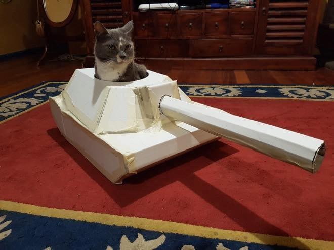 21 idées de maisons pour chat en forme de tanks 10