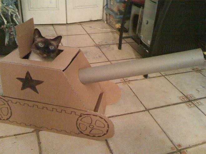 21 idées de maisons pour chat en forme de tanks 15