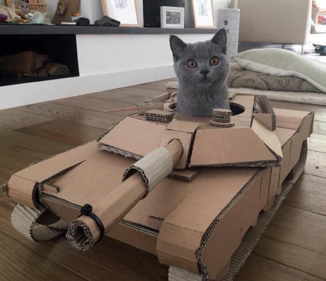 21 idées de maisons pour chat en forme de tanks 16