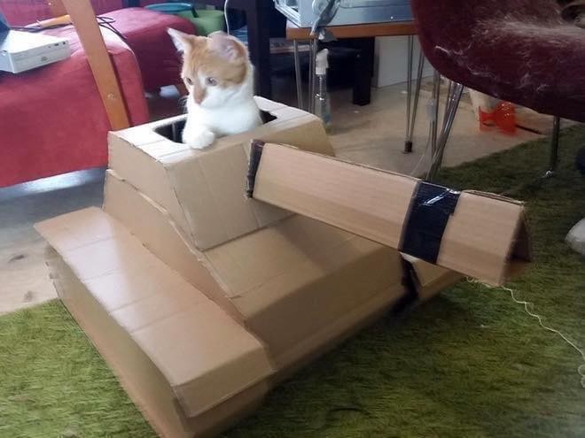 21 idées de maisons pour chat en forme de tanks 17