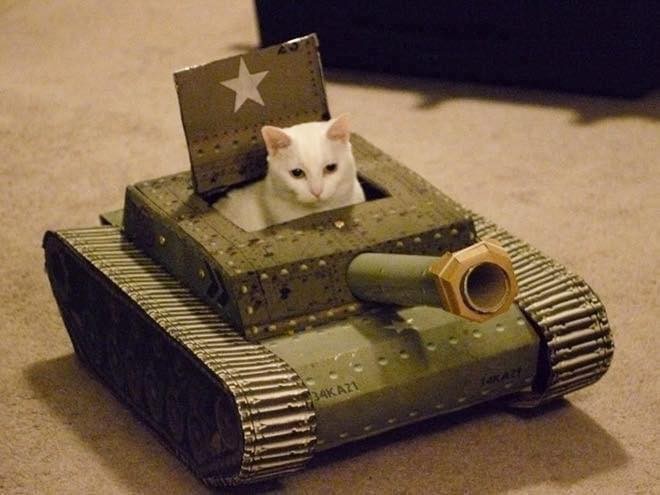 21 idées de maisons pour chat en forme de tanks 18