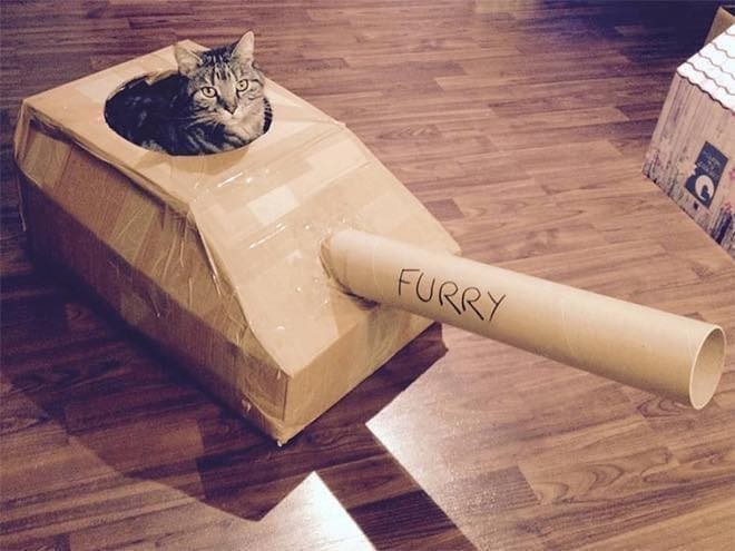 21 idées de maisons pour chat en forme de tanks 19