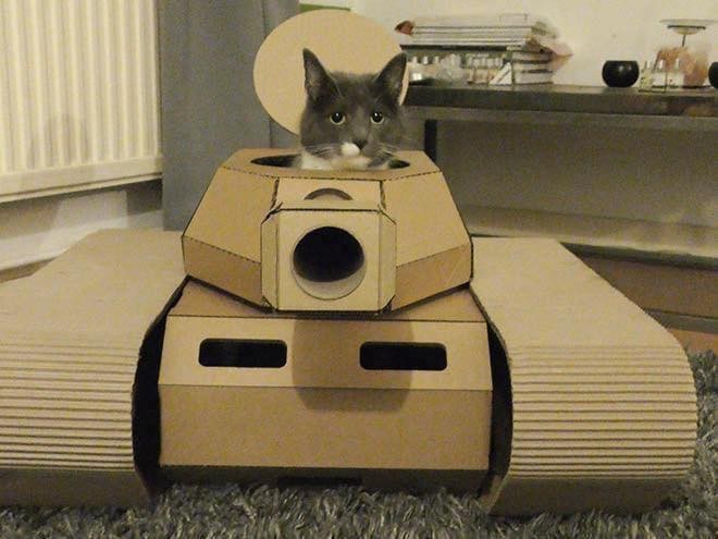 21 idées de maisons pour chat en forme de tanks 20