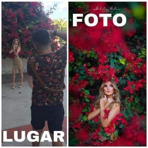 28 impensables astuces pour faire de belles photos 14