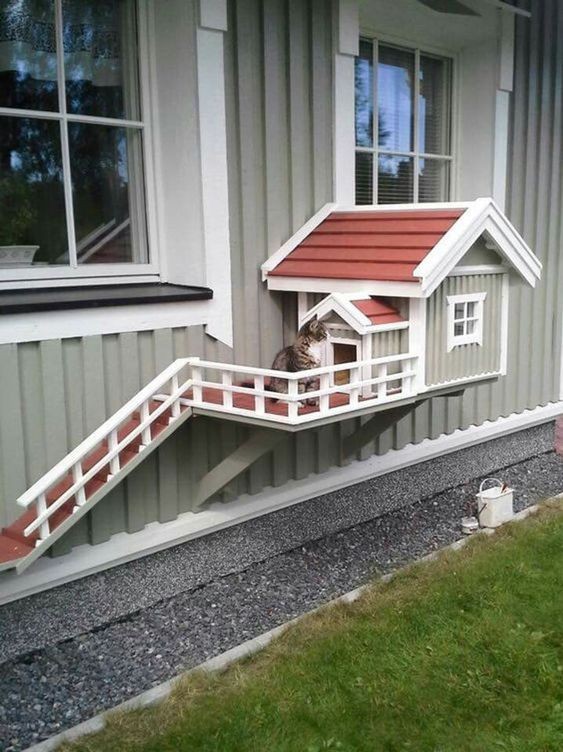 45 top idées de maisons de chat en plein air 2