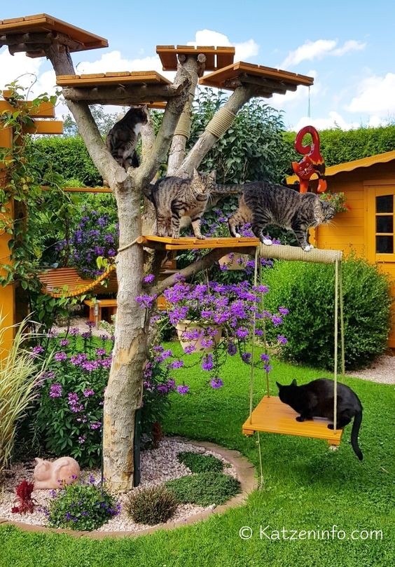 45 top idées de maisons de chat en plein air 12