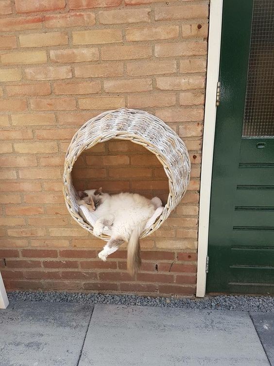 45 top idées de maisons de chat en plein air 5