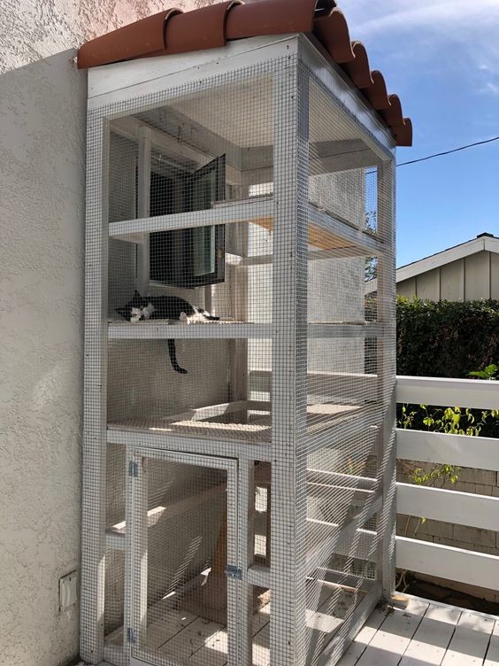 45 top idées de maisons de chat en plein air 6
