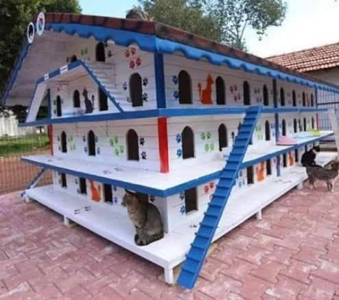 45 top idées de maisons de chat en plein air 42